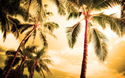 614756 (a): :2560x1600